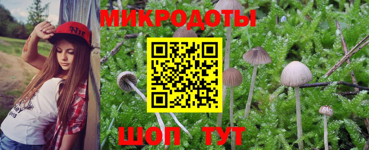 Галлюциногенные грибы прущие грибы Новосибирск