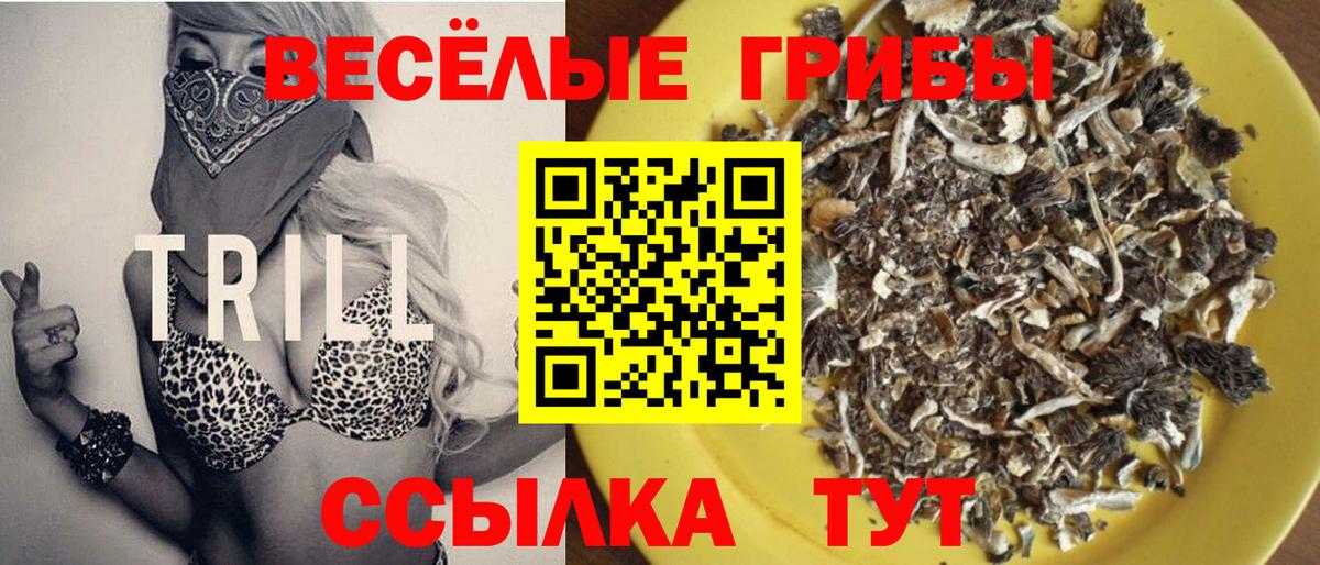 Новосибирск  Галлюциногенные грибы Cubensis  Вход с VPN 